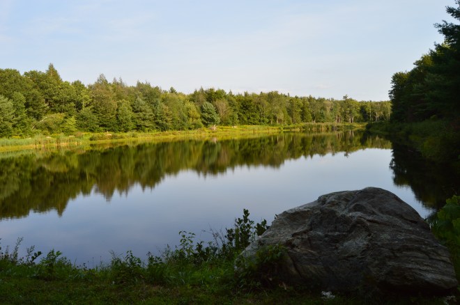 DSC_0519