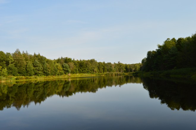 DSC_0525