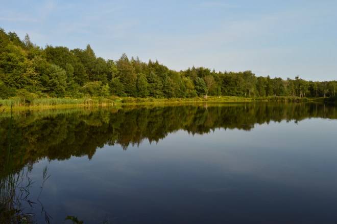 DSC_0527