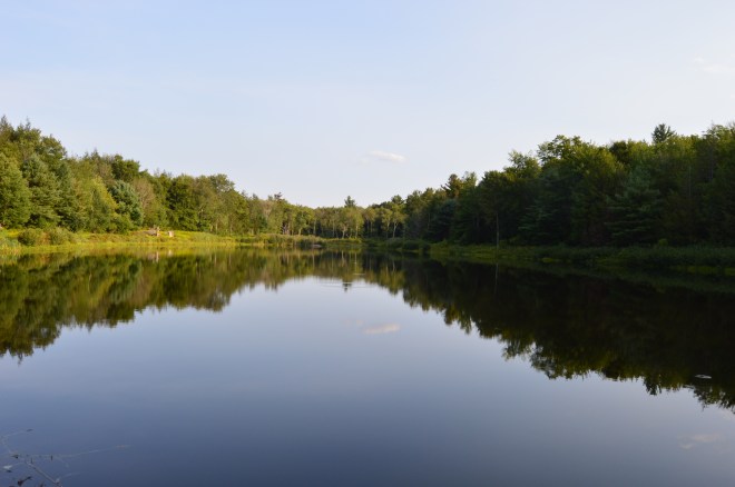 DSC_0550