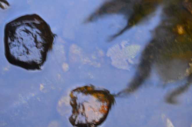 DSC_0633