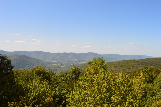 DSC_0718