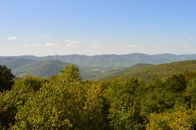 DSC_0722