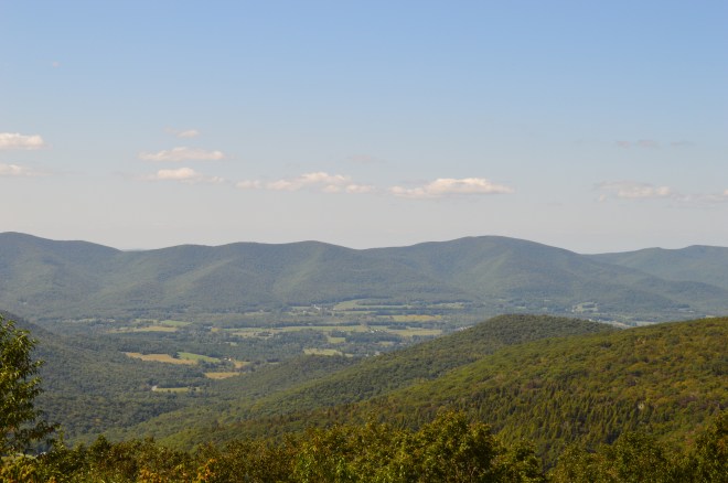 DSC_0724