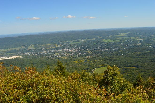 DSC_0751
