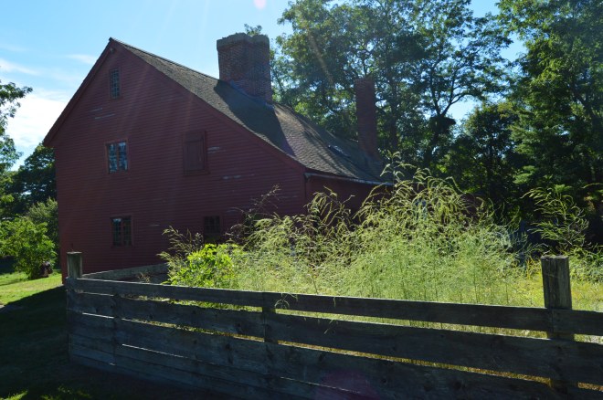 DSC_0743