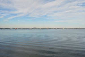 DSC_0481