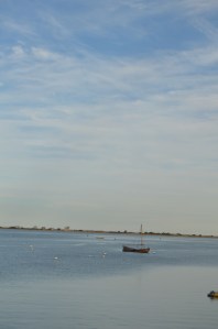 DSC_0520