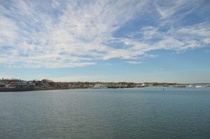 DSC_0557