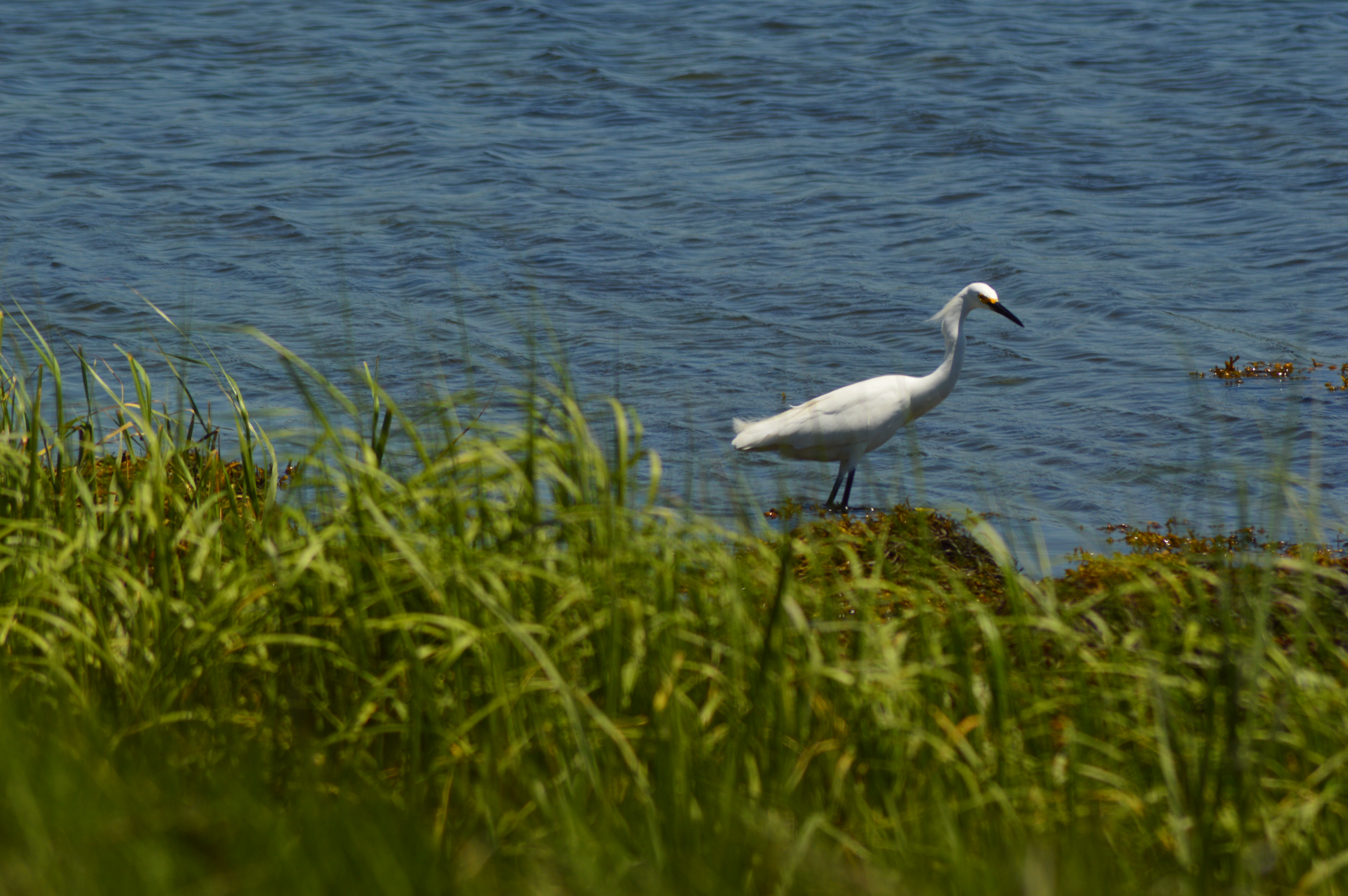 DSC_0481