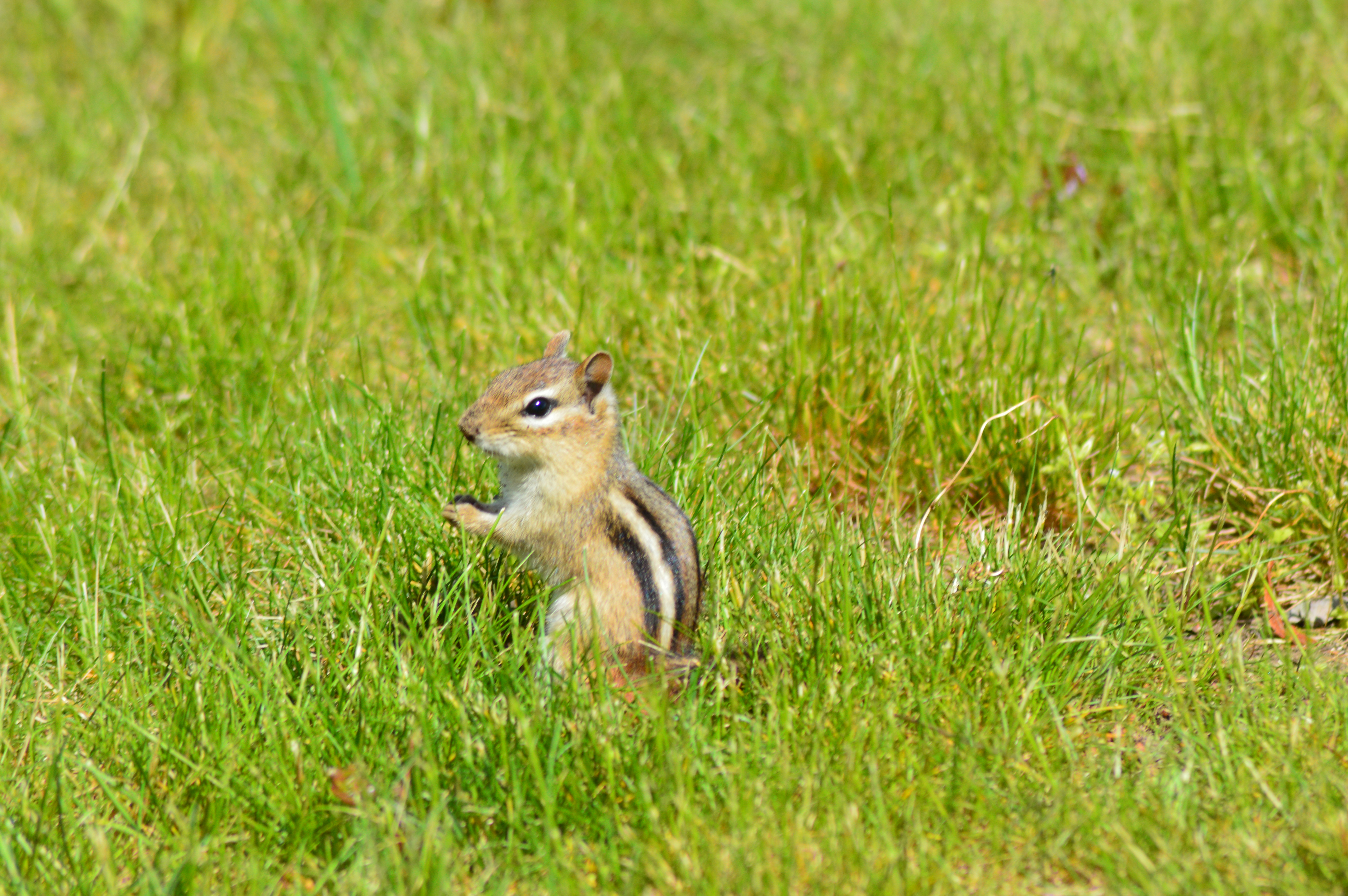 DSC_0098