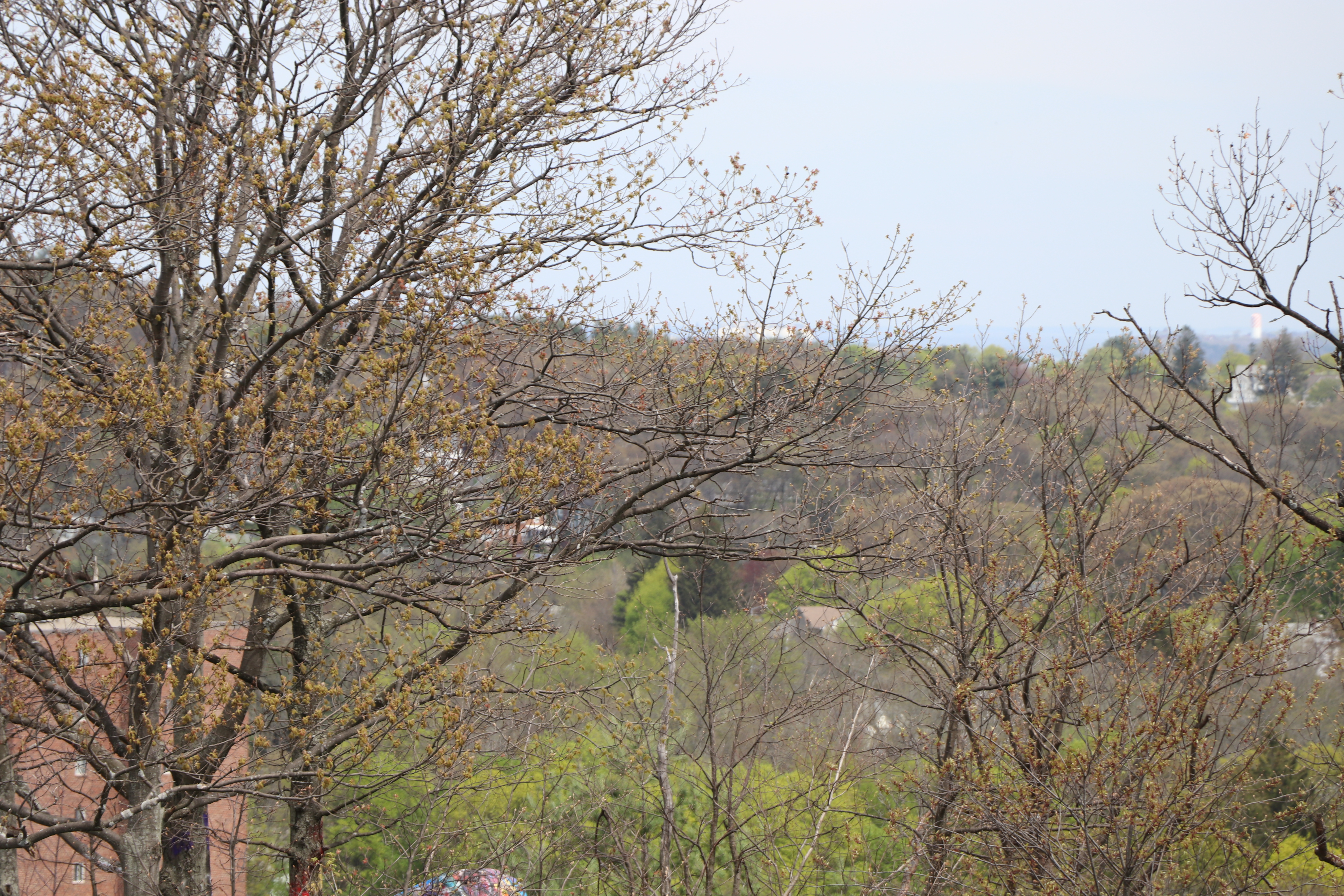 Img 3333 New England Nomad