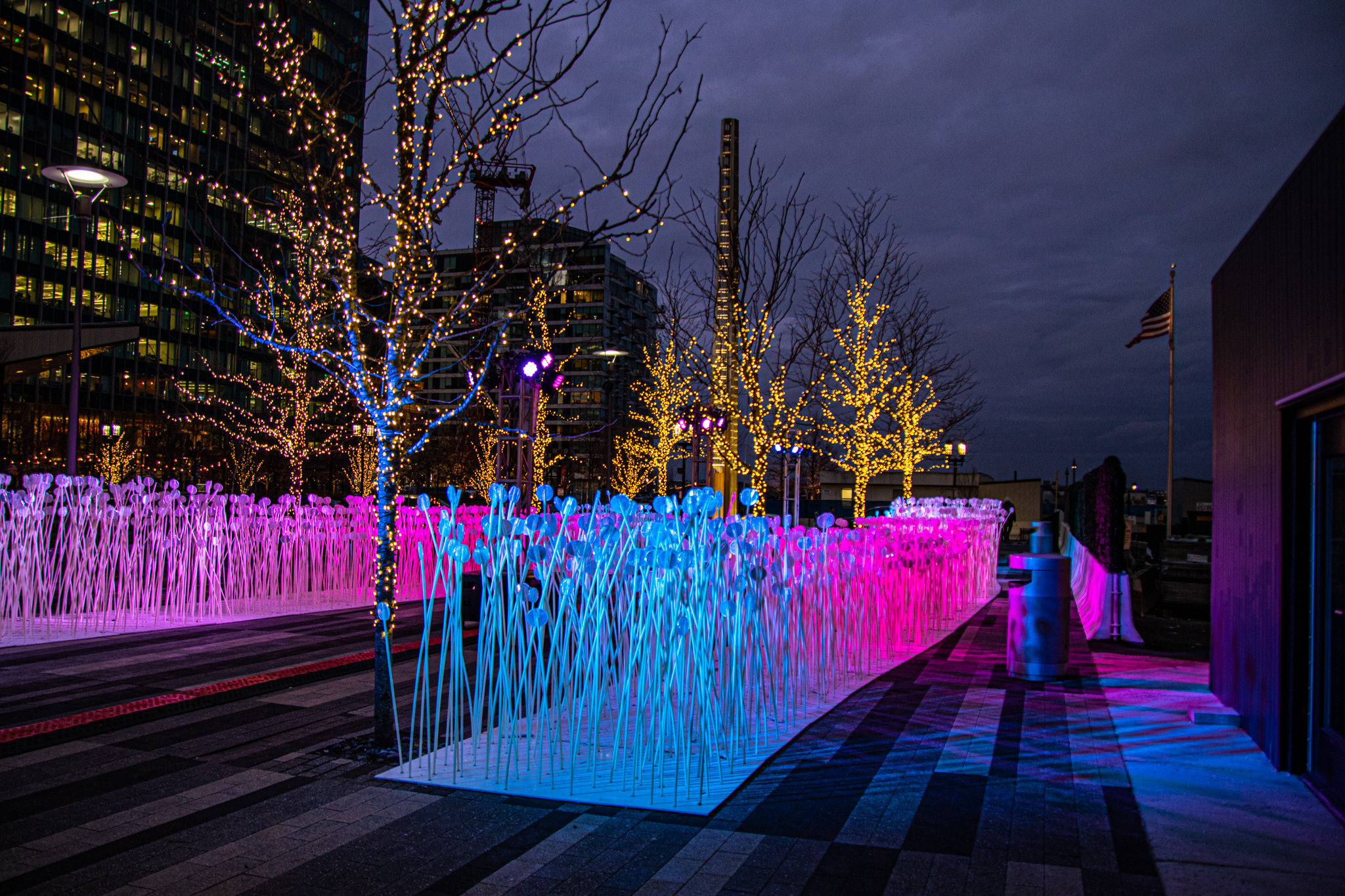 Les Rang (Boston, MA) | New England Nomad