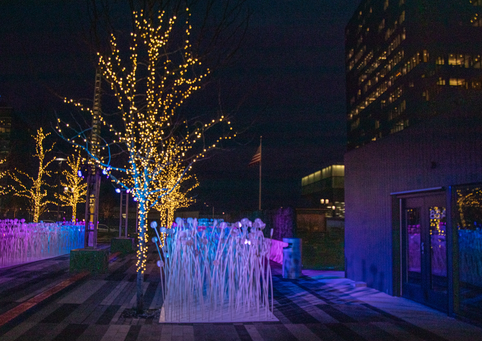 Les Rang (Boston, MA) | New England Nomad