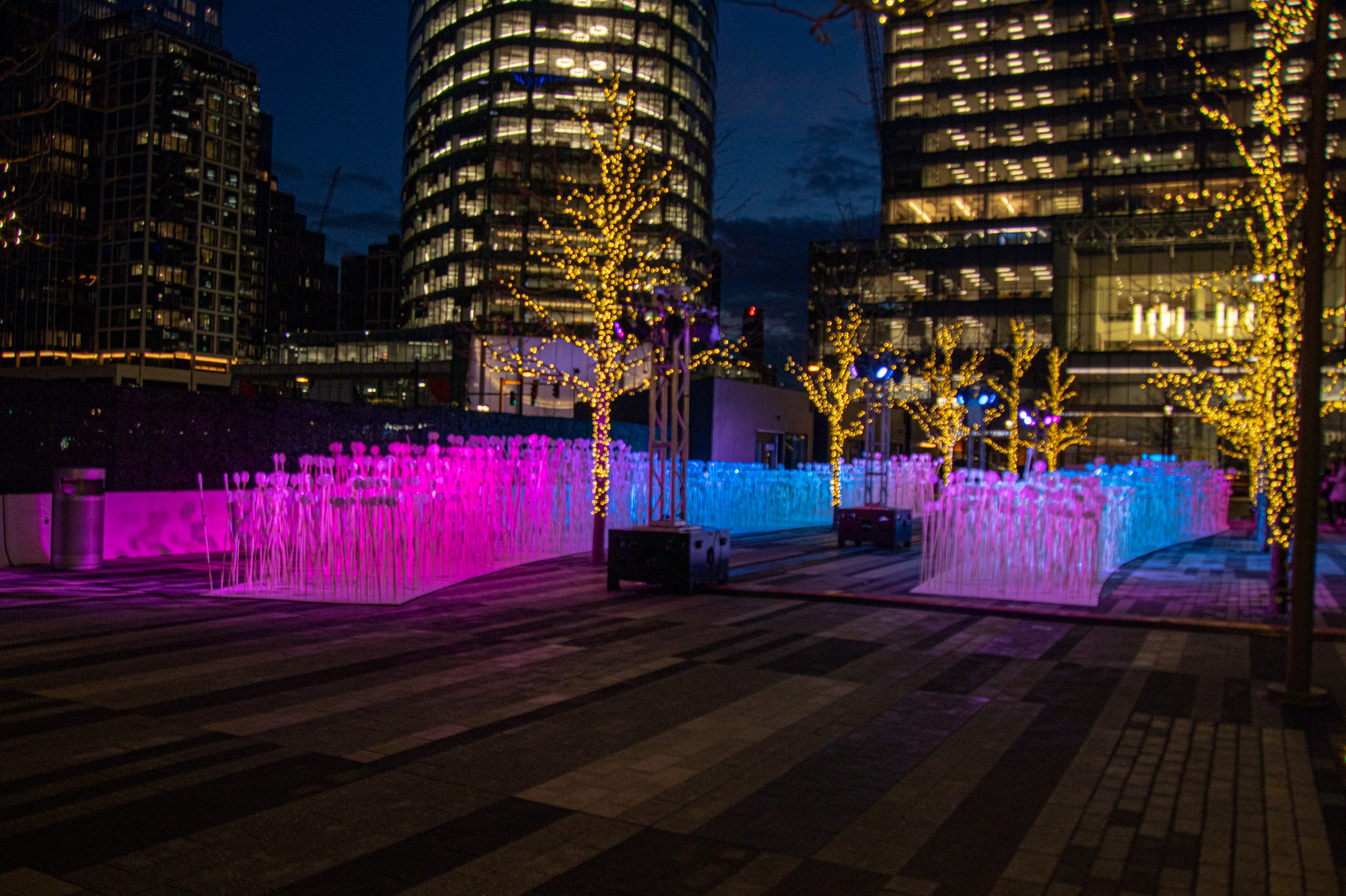 Les Rang (Boston, MA) | New England Nomad