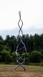 IMG_6340